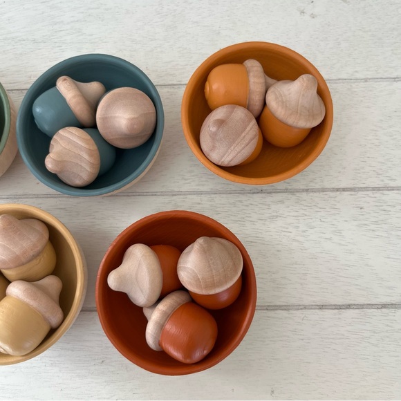 Montessori Colorful Wooden Acorn Sorting Game Babies Toddlers Kids learning toy - Picture 3 of 7